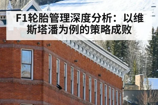 F1轮胎管理深度分析:以维斯塔潘为例的策略成败